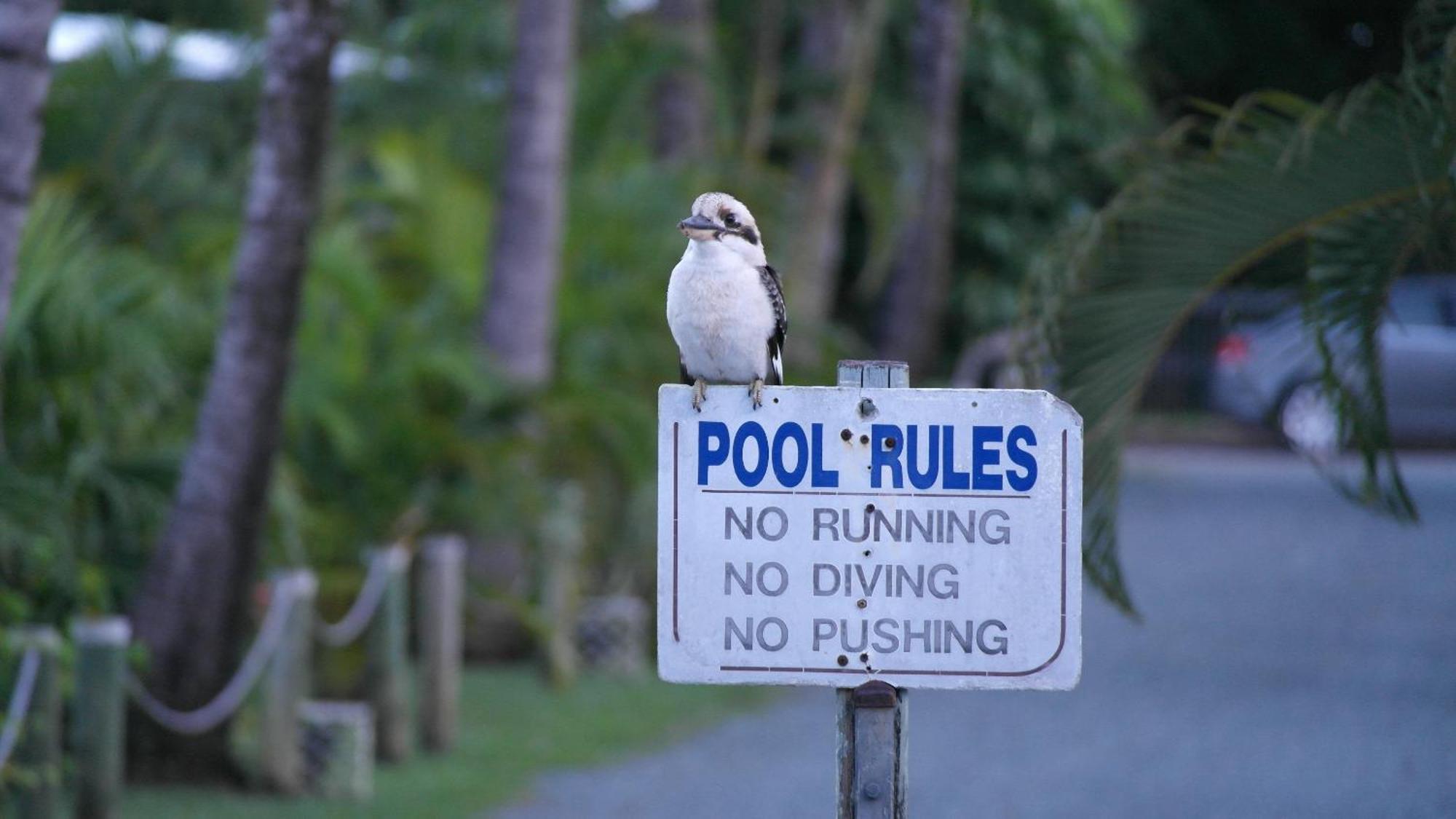 Bush Village Holiday Cabins Airlie Beach Luaran gambar