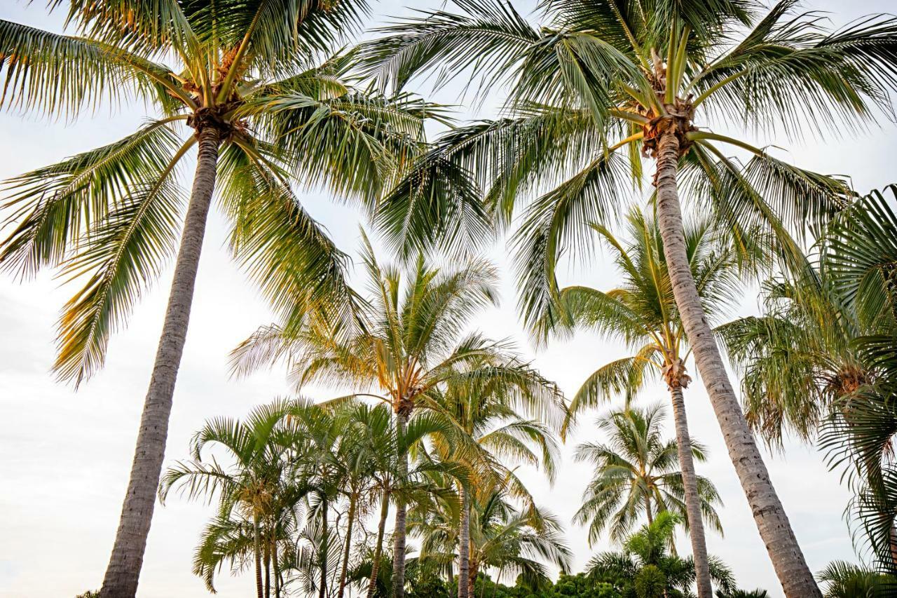 Bush Village Holiday Cabins Airlie Beach Luaran gambar